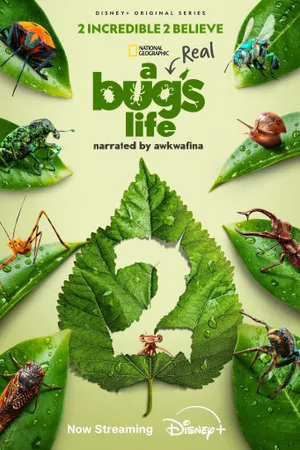 A Real Bug's Life
