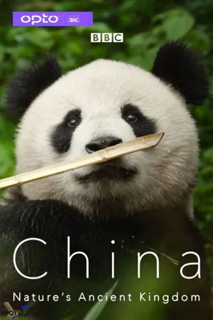 China Nature's Ancient Kingdom Poster