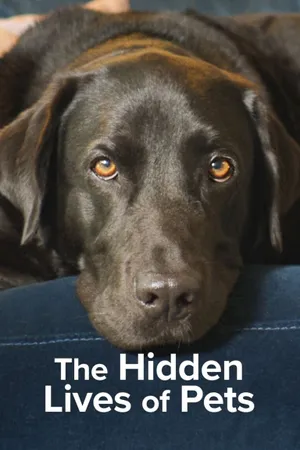The Secret Life of Our Pets Poster