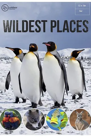 Wildest Places Poster