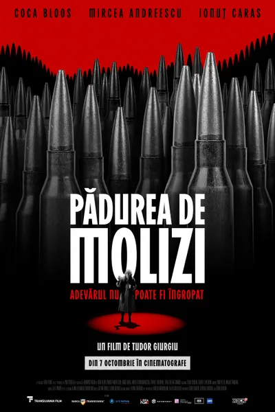 Padurea de molizi