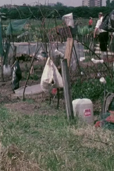 On Allotments