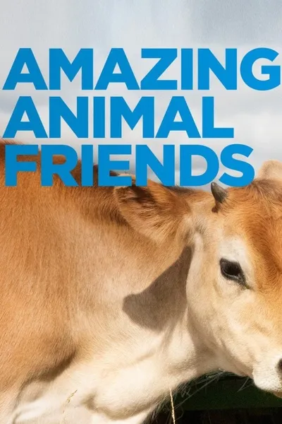 Amazing Animal Friends
